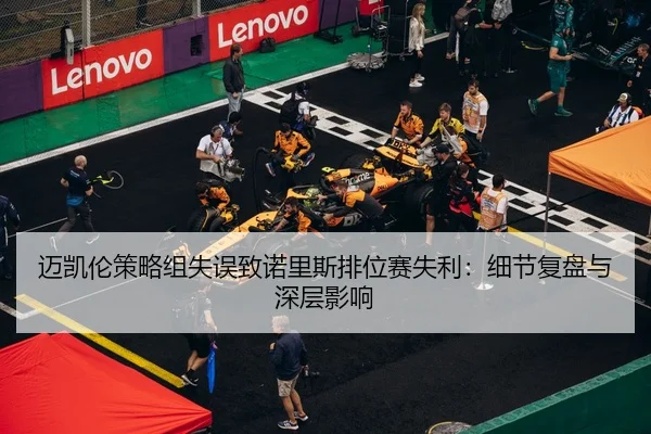 mai-kai-lun-ce-lve-zu-shi-wu-zhi-nuo-li-si-pai-wei-sai-shi-li-xi-jie-fu-pan-yu-shen-ceng-ying-xiang-2-848.jpg