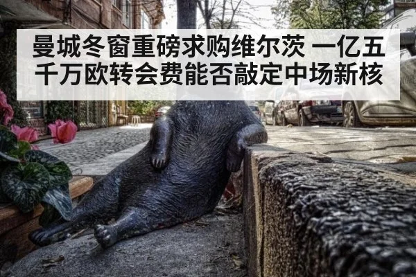 曼城冬窗重磅求购维尔茨 一亿五千万欧转会费能否敲定中场新核